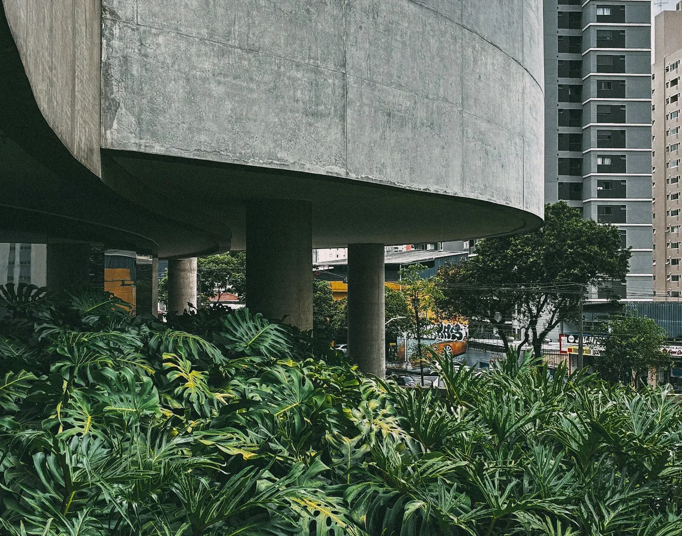 Modern concrete building with lush tropical planting